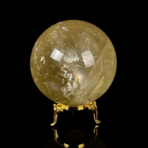 20241103-06