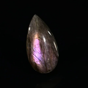20241103-20