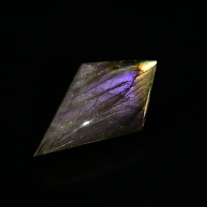 20241103-19