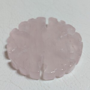 20241027-03